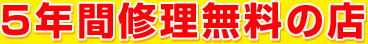 5�N�ԏC�������̓X